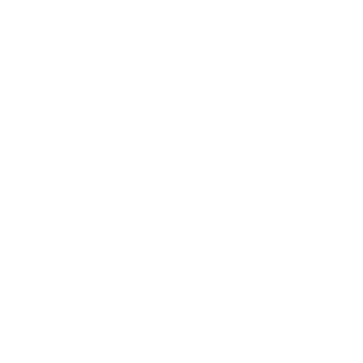 Project report for SME's